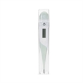 Digital Thermometer